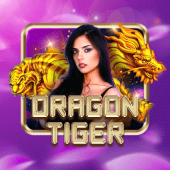 Dragon Tiger bingo plus game casino