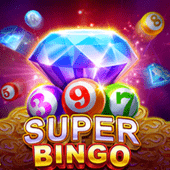 Super Bingo bingo plus game