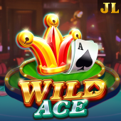 Wild Ace bingo plus game slot